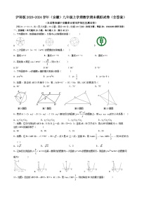 沪科版2023-2024学年（安徽）九年级上学期数学期末模拟试卷