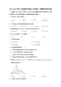 2023-2024学年广西贵港市平南县八年级（上）期中数学试卷(含解析)