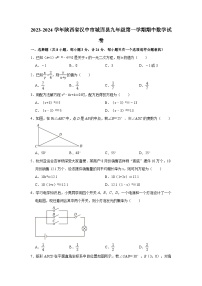 2023-2024学年陕西省汉中市城固县九年级（上）期中数学试卷(含解析)