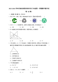 2023-2024学年河南省安阳市林州市八年级（上）期中数学试卷（b卷）(含解析)