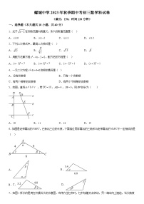 福建省惠安螺城中学2023-2024学年九年级上册期中数学试题（含解析）