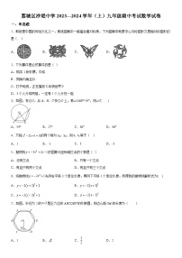 福建省莆田市荔城区黄石镇沙堤初级中学2023-2024学年九年级上册期中数学试题（含解析）