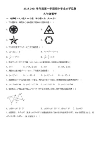 广东省韶关市仁化县2023-2024学年九年级上册期中数学试题（含解析）