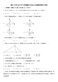 湖南省怀化市麻阳苗族自治县锦江中学2023-2024学年九年级上册期中数学试题（含解析）