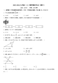 辽宁省沈阳市皇姑区第四十三中学2023-2024学年九年级上册期中数学试题（含解析）