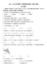 山西省临汾市部分学校2023-2024学年九年级上册第二次月考数学试题（含解析）