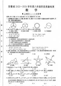 安徽省阜阳市太和县2023-2024学年八年级上学期12月月考数学试题