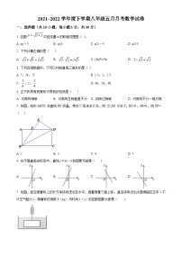 湖北省武汉市杨春湖实验学校2021-2022学年八年级下学期月考数学试题