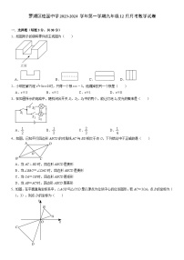 广东省深圳市罗湖区桂园中学2023-2024学年上学期九年级12月月考数学试卷