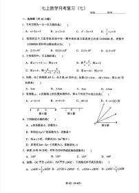 七年级上册北师大版数学期末试卷