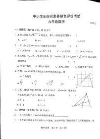 河南省新乡市卫辉市2023—2024学上学期12月月考九年级数学试题