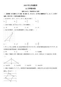 四川省巴中市巴州区巴中中学2023-2024学年九年级上册12月月考数学试题（含解析）