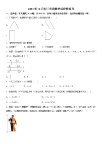 福建省福州铜盘中学2023-2024学年九年级上册月考数学试题（含解析）