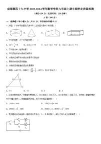 四川省成都市成华区成都市第四十九中学校2023-2024学年九年级上册期中数学试题（含解析）