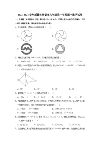 2023-2024学年新疆吐鲁番市九年级（上）期中数学试卷（含解析）