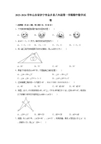 2023-2024学年山东省济宁市金乡县八年级（上）期中数学试卷（含解析）