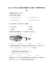 2023-2024学年山东省德州市陵城区七年级（上）期中数学试卷（含解析）