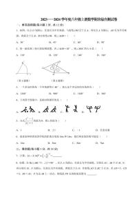 2023—2024学年人教版数学八年级上册期末测试卷