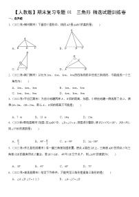 【期末复习】人教版 2023-2024学年 初中数学 八年级上册期末专题复习 专题 01  三角形 精选试题训练卷（含解析）