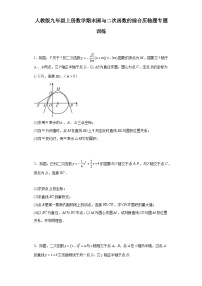 【期中复习】人教版 初中数学九年级上册 期末专题复习  圆与二次函数的综合压轴题专题训练（含解析）