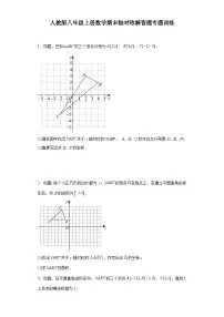 【期中复习】人教版 初中数学八年级上册数学期末轴对称解答题专题训练（含解析）