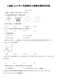 【期末模拟】人教版2023年八年级数学上册期末模拟考试卷（原卷+解析卷+答题卡）.zip