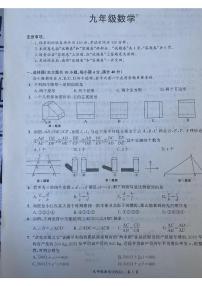 安徽省宿州市泗县2023-—2024学年九年级上学期12月月考数学试题