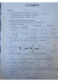 安徽省宿州市泗县2023-—2024学年九年级上学期12月月考数学试题