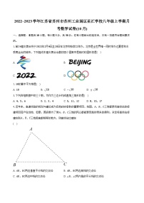 2022~2023学年江苏省苏州市苏州工业园区星汇学校八年级上学期月考数学试卷(10月)（含解析）