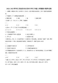 2022~2023学年江苏省苏州市苏州中学八年级上学期期中数学试卷（含解析）