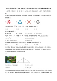 2022~2023学年江苏省苏州市立达中学校八年级上学期期中数学试卷（含解析）