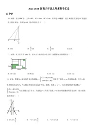 2021-2022济南八年级上期末数学压轴汇总（无答案）