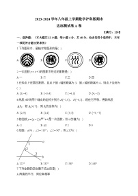 2023-2024学年八年级上学期数学沪科版期末达标测试卷A卷