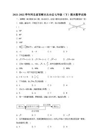 河北省邯郸市丛台区2021-2022学年七年级下学期期末考试数学试卷