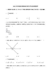 2022年河南省中考数学真题（原卷版）