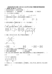 四川省达州市开江县第二中学2023-2024学年九年级上学期期末数学模拟测试题