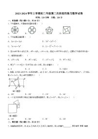 江西省新余市第四中学2023-2024学年八年级上学期第二次月考数学试题(无答案)