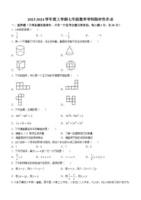 41，辽宁省沈阳市沈河区南昌中学沈抚示范区分校2023-2024学年七年级上学期12月月考数学试题(无答案)