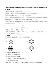 云南省临沧市耿马傣族佤族自治县2020-2021学年九年级上学期数学期末试卷