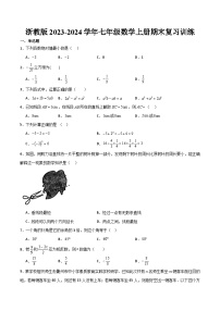 浙教版2023-2024学年七年级数学上册期末复习训练  原卷+解析卷