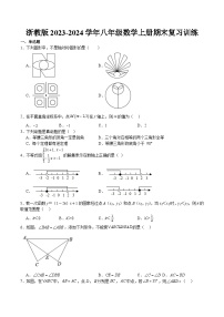 浙教版2023-2024学年八年级数学上册期末复习训练  原卷+解析卷