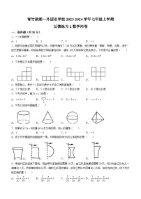 湖南省长沙市开福区青竹湖湘一外国语学校2023-2024学年七年级上学期第三次月考数学试题(无答案)