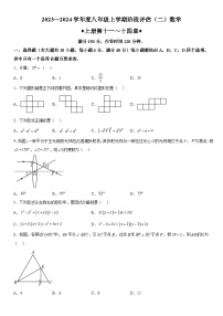 安徽省芜湖市无为市多校联考2023-2024学年八年级上册月考数学试题（含解析）