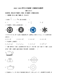 2023年安徽省芜湖市第二十九中学中考二模数学试题