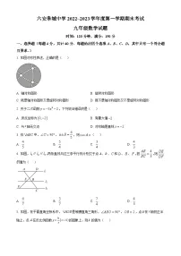 安徽省六安皋城中学2022-2023学年九年级上学期期末数学试题