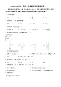 江苏省扬州市仪征市2023-2024学年七年级上学期期末数学模拟试题