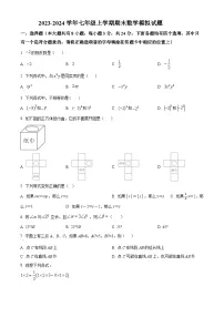 江苏省扬州市仪征市2023-2024学年七年级上学期期末数学模拟试题