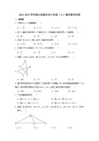 2022-2023学年浙江省嘉兴市八年级（上）期末数学试卷