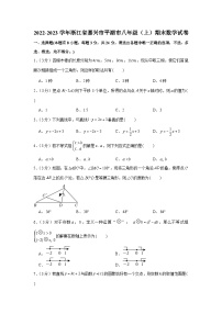 2022-2023学年浙江省嘉兴市平湖市八年级（上）期末数学试卷