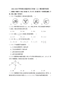 2022-2023学年浙江省温州市八年级（上）期末数学试卷